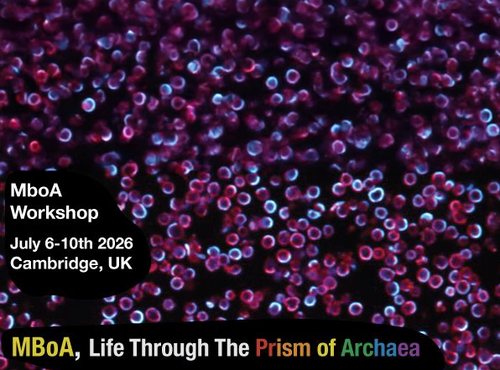 MBoA - Life through the prism of Archaea