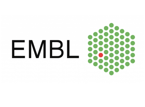 embl square