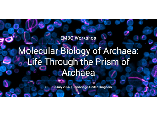 MBoA 2026: Life through the Prism of Archaea