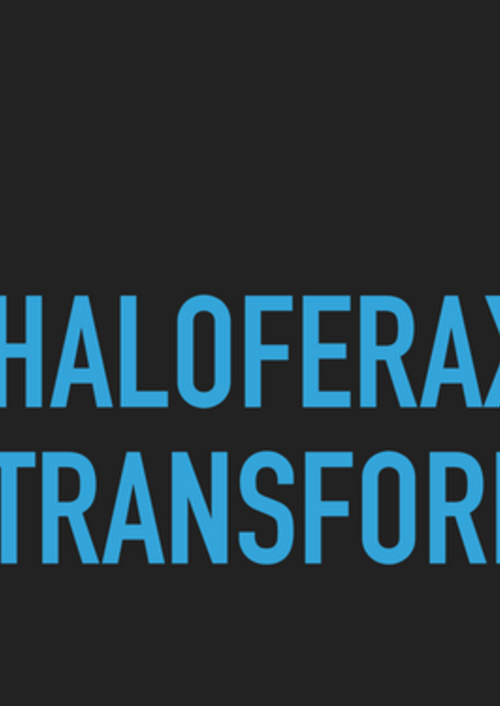 haloferax_transformation.pdf