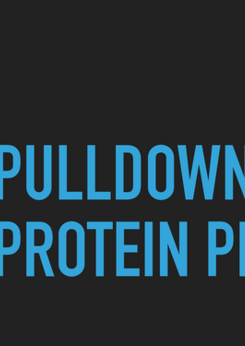 pulldowns_protein_prep.pdf
