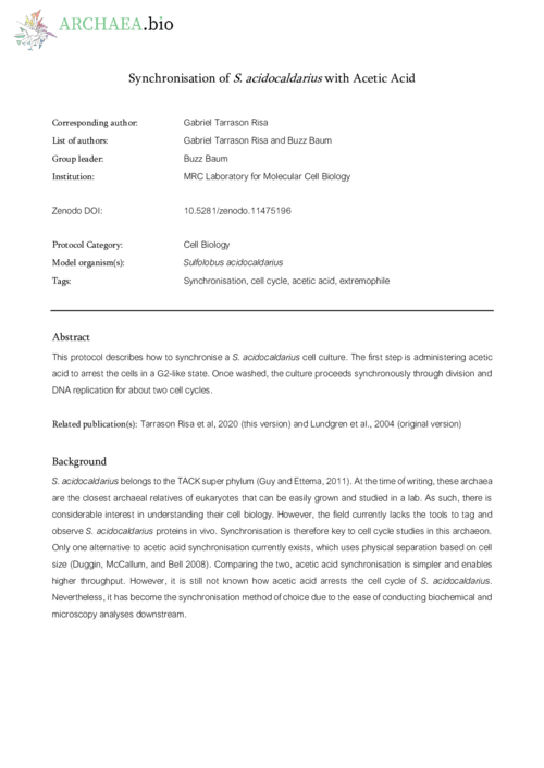 example-protocol_long_saci-acetic-acid-synchronisation.pdf