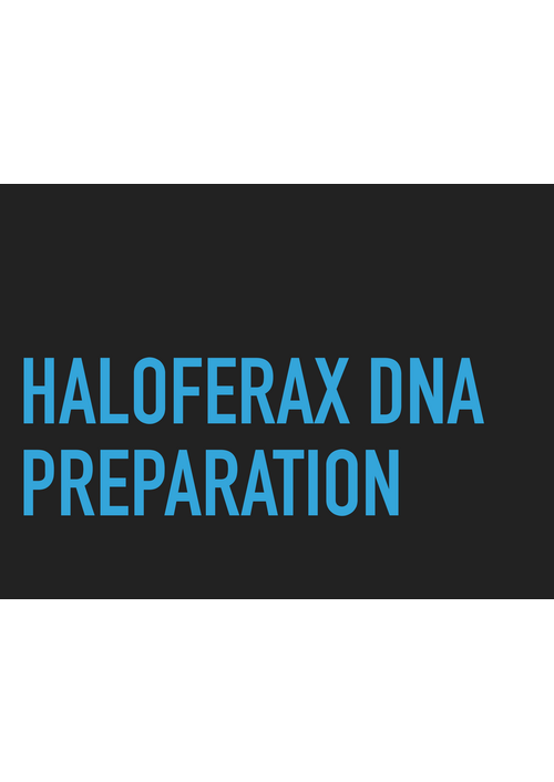 dna_preparation.pdf