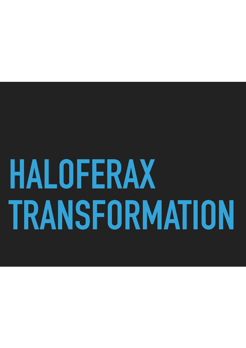 haloferax_transformation.pdf