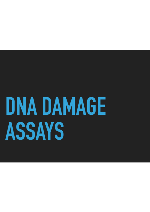 dna_damage_assays.pdf