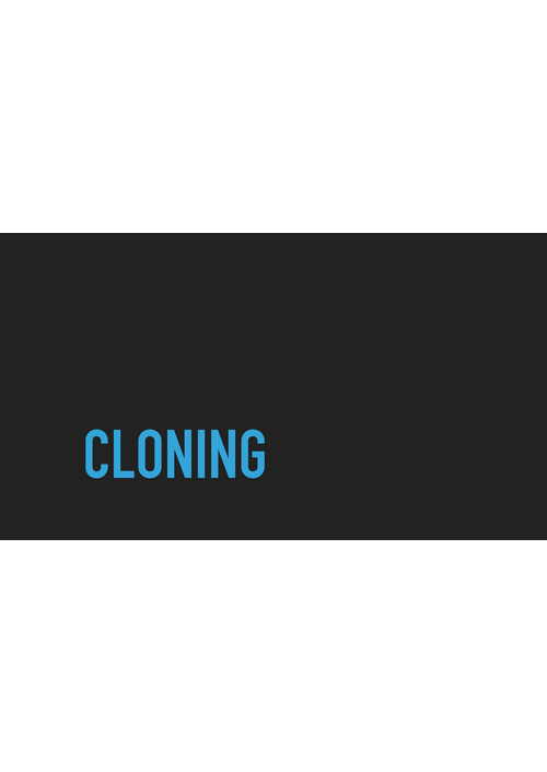 haloferax_cloning.pdf