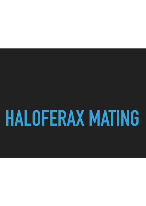 haloferax_mating.pdf