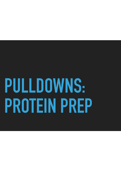 pulldowns_protein_prep.pdf