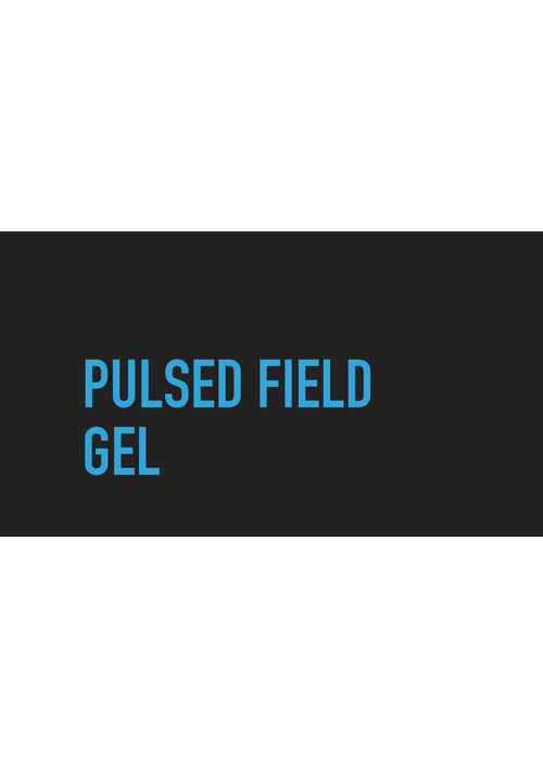 pulsed_field_gel.pdf