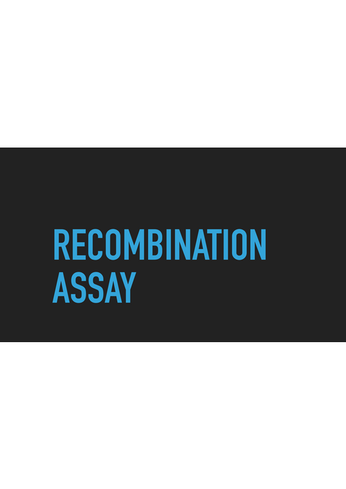 recombination_assay.pdf