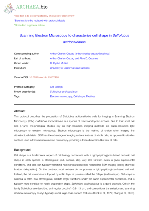 20240312--cezanne--scanning-electron-microscopy-to-characterize-cell-shape-in-sulfolobus-acidocaldarius.pdf