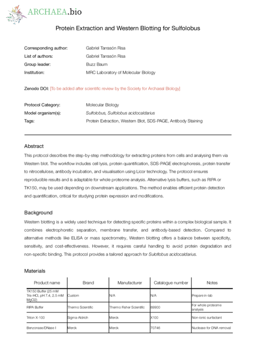 20250316--tarrason-risa--protein-extraction-and-western-blotting-for-sulfolobus.pdf